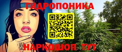 Альфа ПВП Будённовск