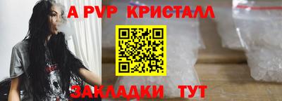 Альфа ПВП Будённовск